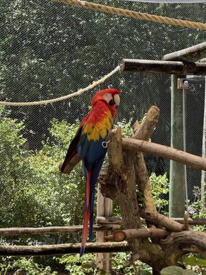 Palm Beach Zoo & Conservation Society by null
