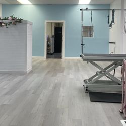 Pawsitive Vibes Pet Grooming