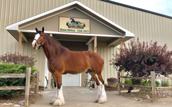 ELKHORN EQUESTRIAN CENTER - Updated January 2025 - 13 Photos - 20915