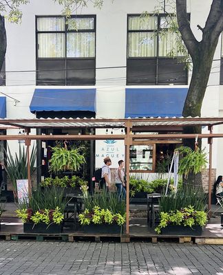 Coyoacán by null