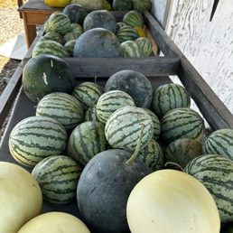 Melons Melons