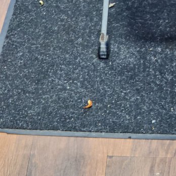 Pet Supplies Plus Marysville - Associate drops multiple fish as she's getting mine, tells me I'm not allowed to save them (she clearly wasn't)  . - Pet Stores Near Me - Marysville, Ohio