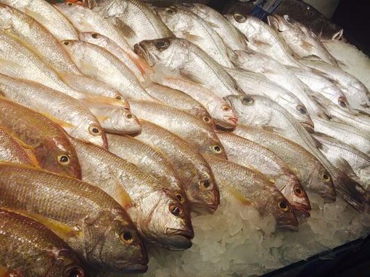 Kailis Bros Leederville by null