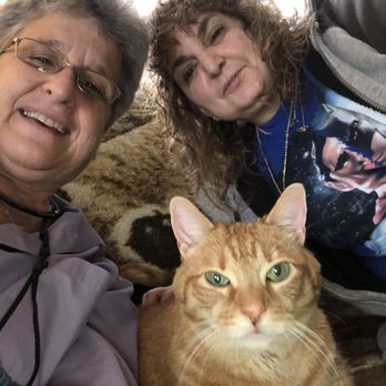 Feline Whisperers - Owners/Operators of Felinewhisperers.com with Lucky - Pet Sitting Near Me Feline Whisperers - Owners/Operators of Felinewhisperers.com with Lucky - Pet Sitting Near Me
