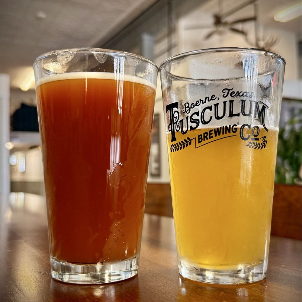 Tusculum Brewing - Lager for him. Mexican Lager for me, sorry couldn't wait for pic - Breweries Near Me - Boerne, Texas Tusculum Brewing - Lager for him. Mexican Lager for me, sorry couldn't wait for pic - Breweries Near Me - Boerne, Texas