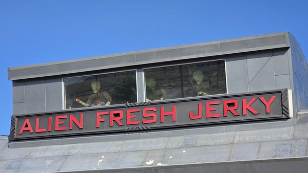 Alien Fresh Jerky by null