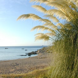La Chiappa