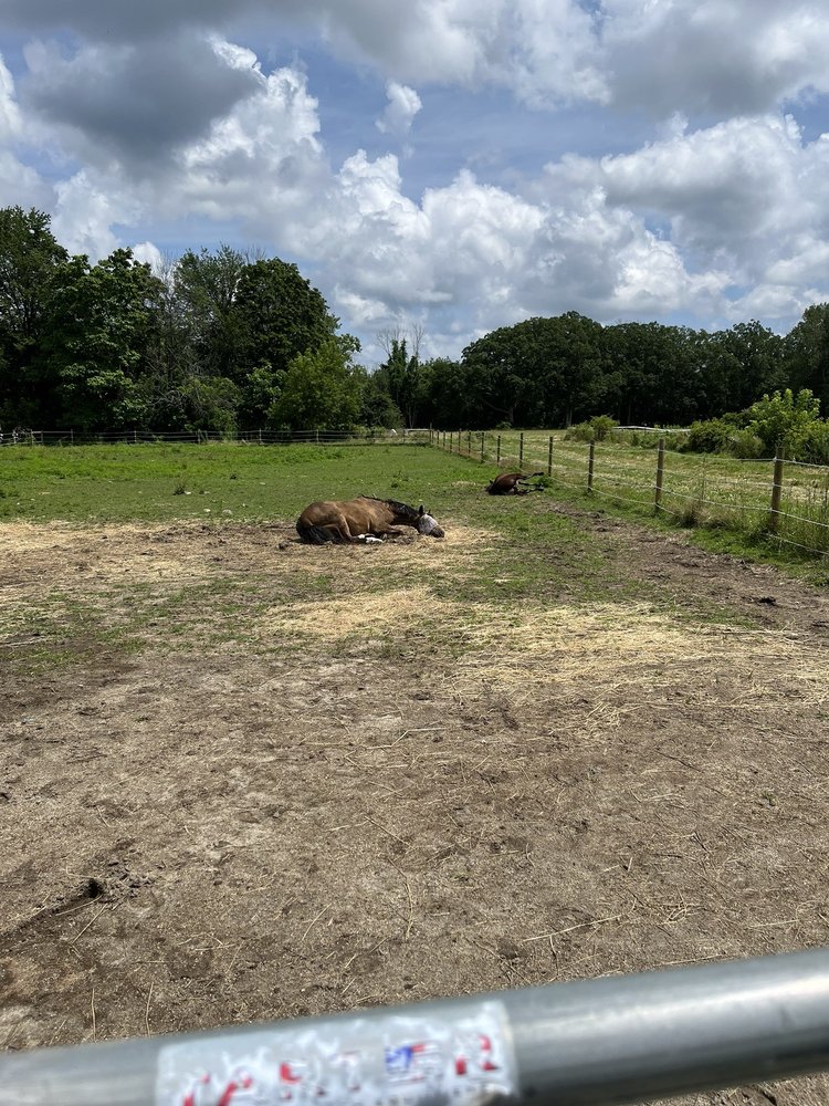 SPRING WILLOW FARM Updated May 2024 18 Blackstone St, Mendon