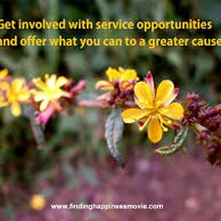 Better Decisions Counseling Services
