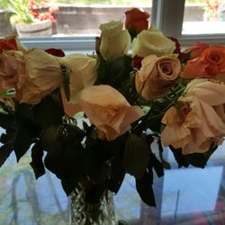 1 800 Flowers - The next day- they look dead already
