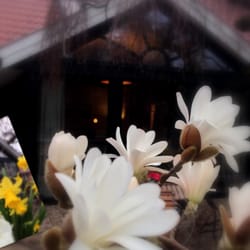 Café Blätterteich - Schöner Garten!