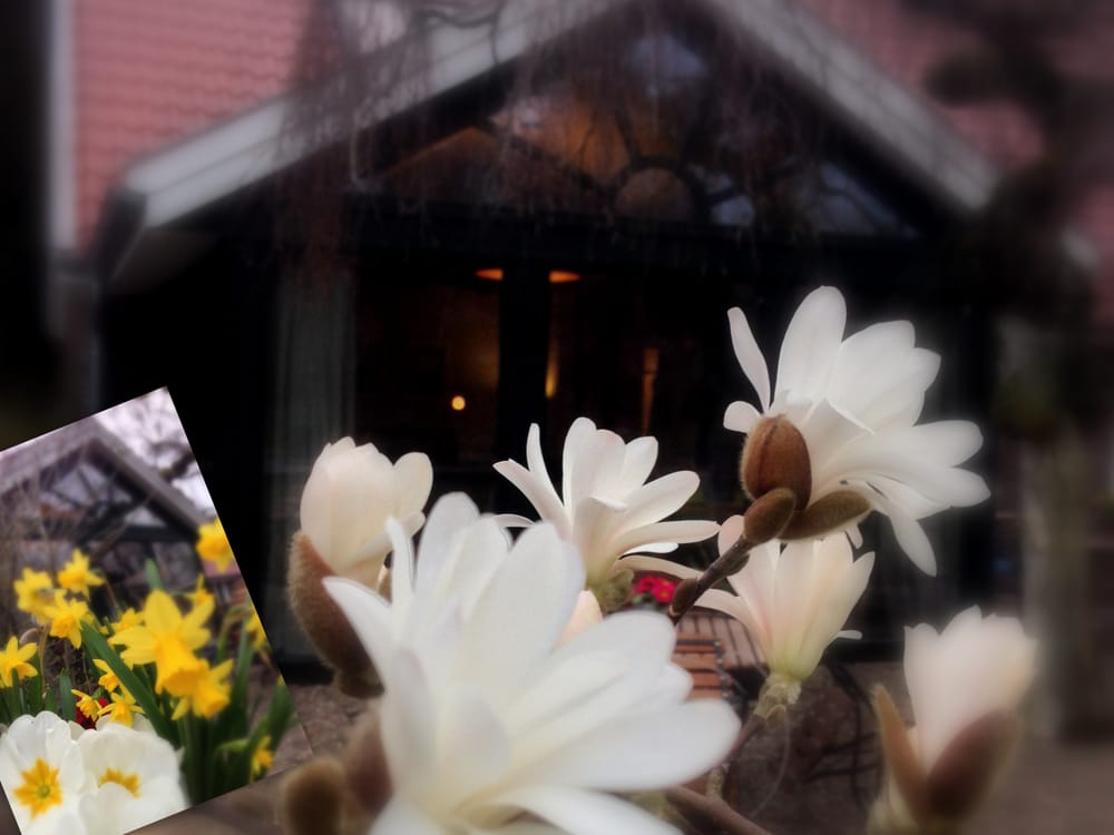 CAFÉ BLÄTTERTEICH 12 Photos & 10 Reviews Alexanderstr. 412