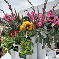 Gorgeous flowers