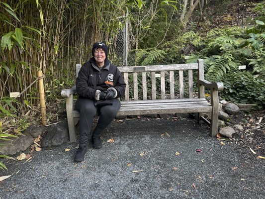 University of California Botanical Garden by null