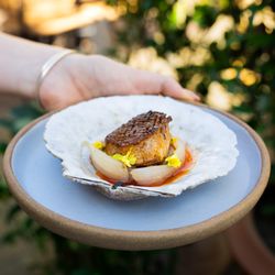 Our Diver Scallop dish. This small plate is an excellent starter.