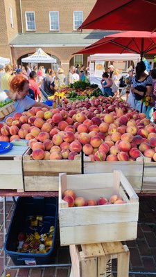Old Town Farmers' Market by null