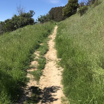 Nicholl Knob - First trail probably the most difficult and fun to start with. - Hiking Near Me - Richmond, California Nicholl Knob - First trail probably the most difficult and fun to start with. - Hiking Near Me - Richmond, California