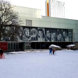 Ryerson Community Park Skating Rink - Rink