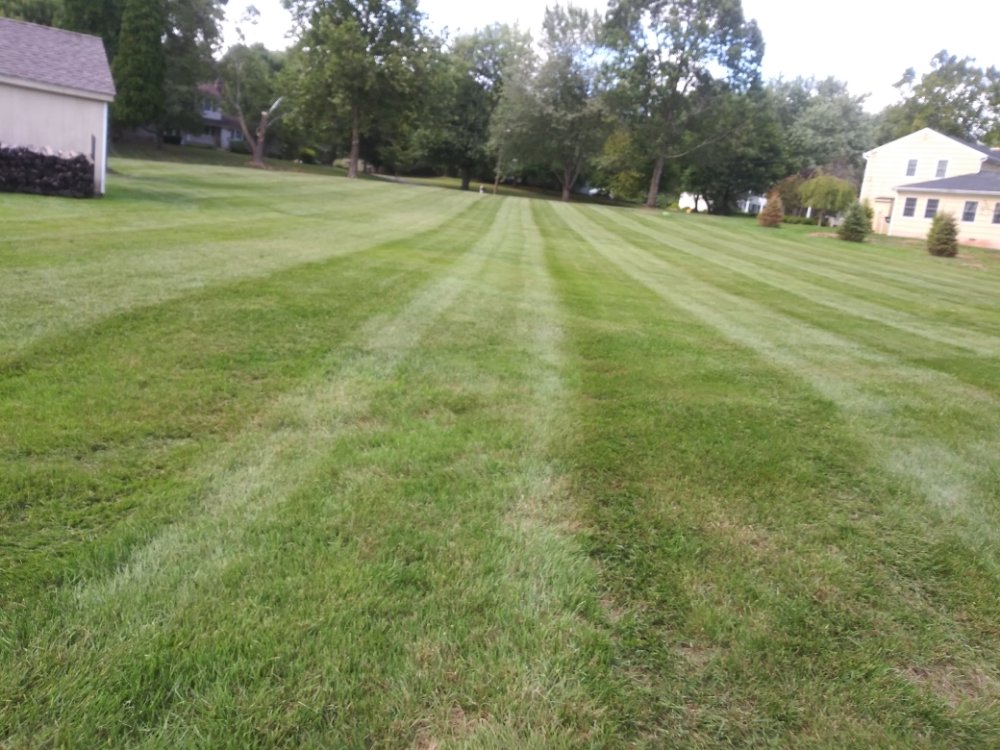 SMALL LANDSCAPING Updated April 2024 Flemington, New Jersey