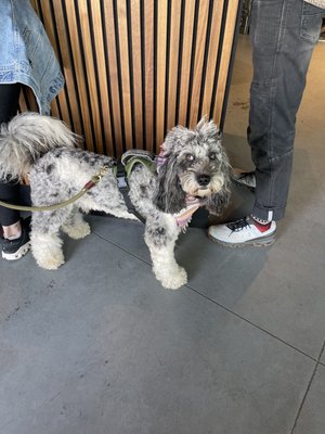 URBAN SAILOR COFFEE by null