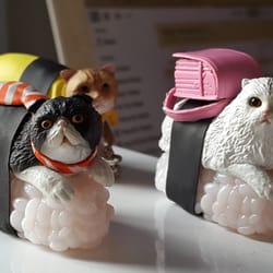 PopUp - Les Sushicat Dolls !