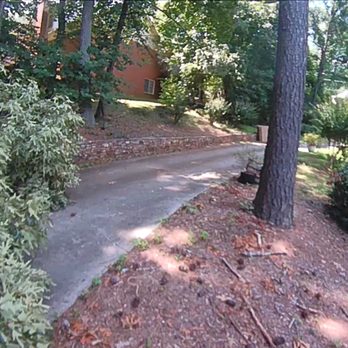 ArborForce Tree Services - Tree Services Near Me