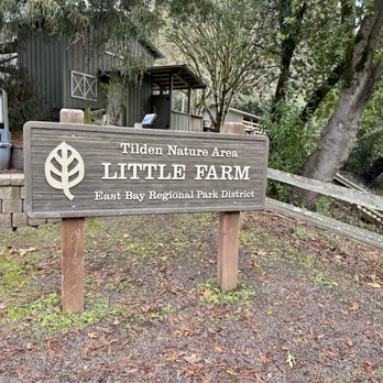 Tilden Regional Park Little Farm - Welcome to Little Farm - Parks Near Me - Berkeley, California Tilden Regional Park Little Farm - Welcome to Little Farm - Parks Near Me - Berkeley, California