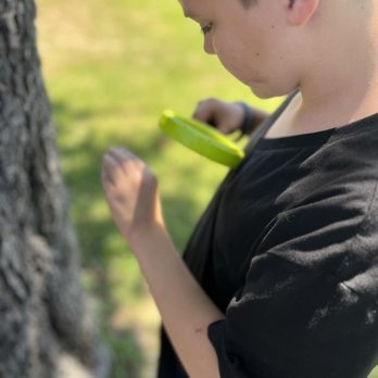 Del Sol School - Community Service/Non-Profit Near Me - Cypress, California
