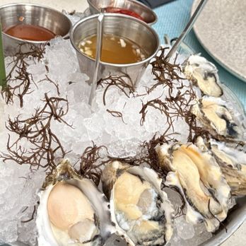 Stripsteak - Oysters - Steakhouses Near Me - Honolulu, Hawaii