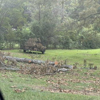 Duffey’s Tree & Landscape management - The cut limbs - Tree Services Near Me Duffey’s Tree & Landscape management - The cut limbs - Tree Services Near Me