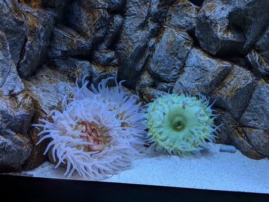 North Carolina Aquarium at Fort Fisher by null