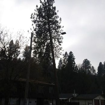 Stumpies Tree Service - Tree Services Near Me Stumpies Tree Service - Tree Services Near Me
