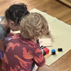 Wood Violet Montessori