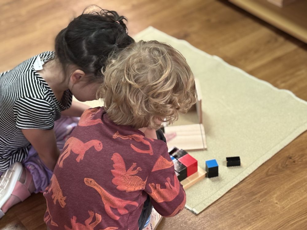 Wood Violet Montessori - childcare center in Appleton, WI