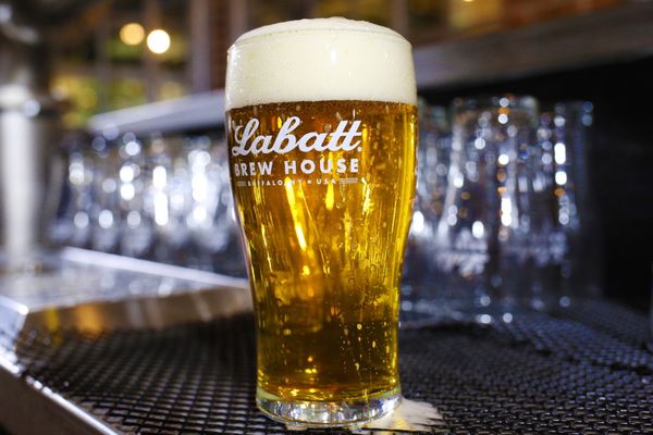 LABATT BREW HOUSE TASTING BAR - 79 Photos & 79 Reviews - 79 Perry St ...