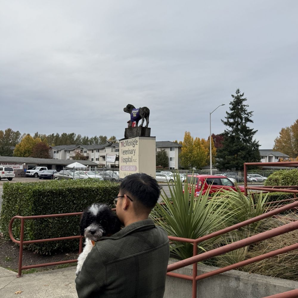 McMonigle Veterinary Hospital Pllc - Outside - Veterinarians Near Me - Kent, Washington McMonigle Veterinary Hospital Pllc - Outside - Veterinarians Near Me - Kent, Washington