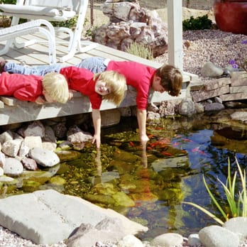Saber Landscapes - Koi Pond Kids. - Landscaping Near Me - Tucson, Arizona Saber Landscapes - Koi Pond Kids. - Landscaping Near Me - Tucson, Arizona