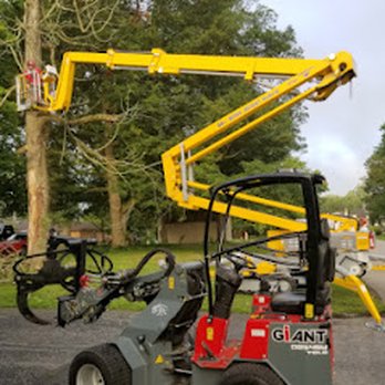 Menchhofer Tree Care - Tree Services Near Me - Danville, Indiana Menchhofer Tree Care - Tree Services Near Me - Danville, Indiana