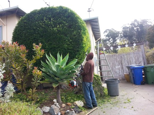 Lawn Mowing & Landscape Maintenance - Gardella Gardening - Lawn Mowing & Landscape Maintenance - Gardella Gardening