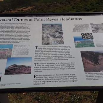 Point Reyes National Seashore - Lighthouse - Landmarks & Historical Buildings Near Me - Point Reyes Station, California Point Reyes National Seashore - Lighthouse - Landmarks & Historical Buildings Near Me - Point Reyes Station, California