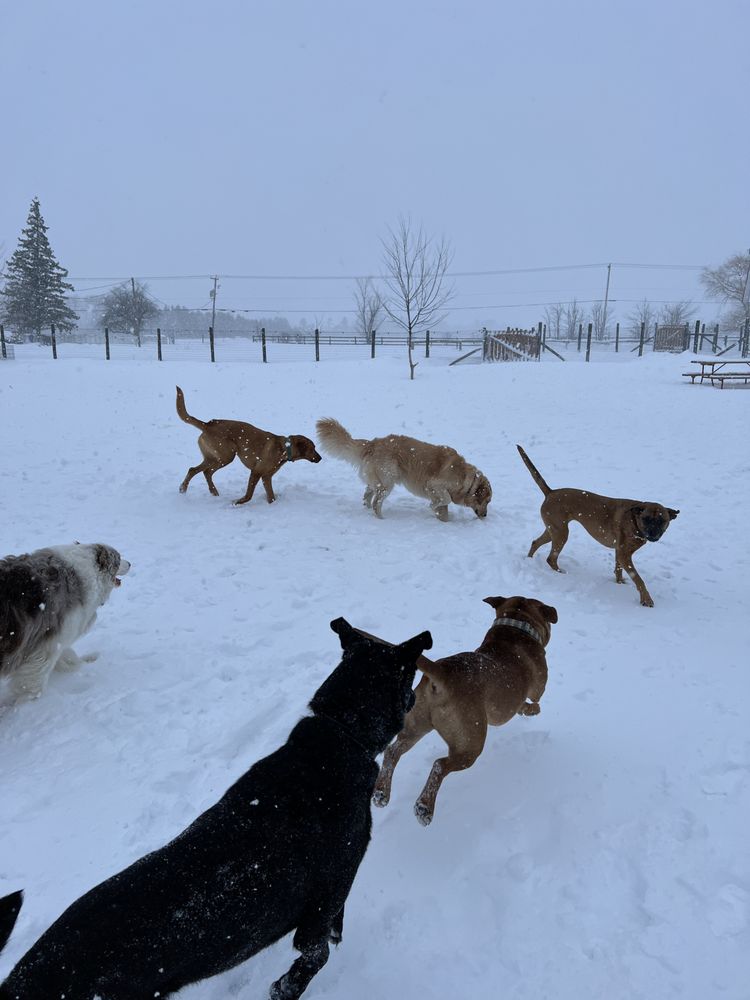 PENSION IVY LEAGUE - Updated April 2024 - Request Information - 775 ...