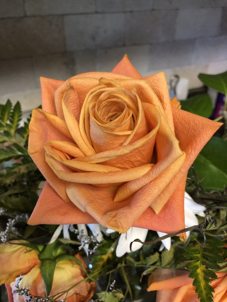 HEARTSTRINGS AT BEVERLY’S Updated August 2024 134 N Locust Ave