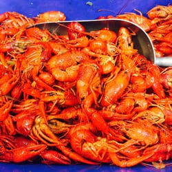 Nola Cajun Seafood