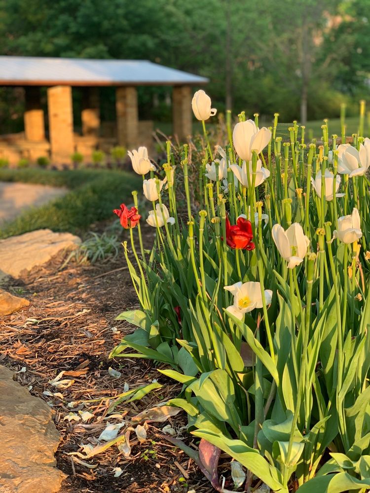 GRAPEVINE BOTANICAL GARDENS Updated September 2024 279 Photos & 64