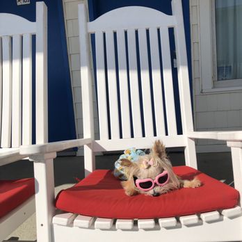 Adam's Oceanfront Resort - Tinkerbell enjoying the day - Resorts Near Me - Dewey Beach, Delaware Adam's Oceanfront Resort - Tinkerbell enjoying the day - Resorts Near Me - Dewey Beach, Delaware