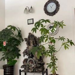 Albany Professional Spa