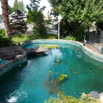 Affordable Ponds NW - Pond after hiring Affordable Ponds - Landscaping Near Me