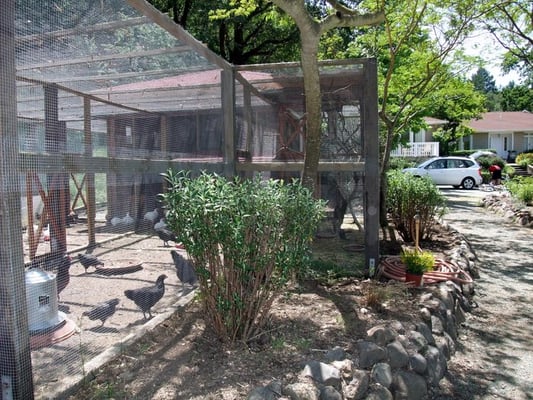 Meadowlark Country House & Resort by null