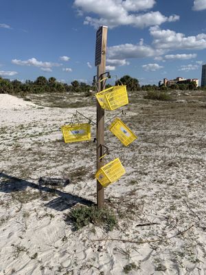 Sand Key Park by null