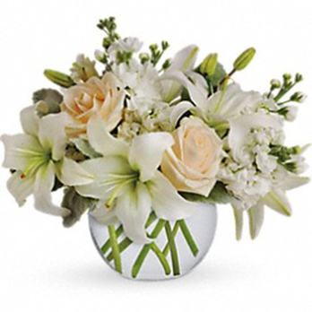 Array of Sunshine Florist - Florists Near Me - Register, Georgia